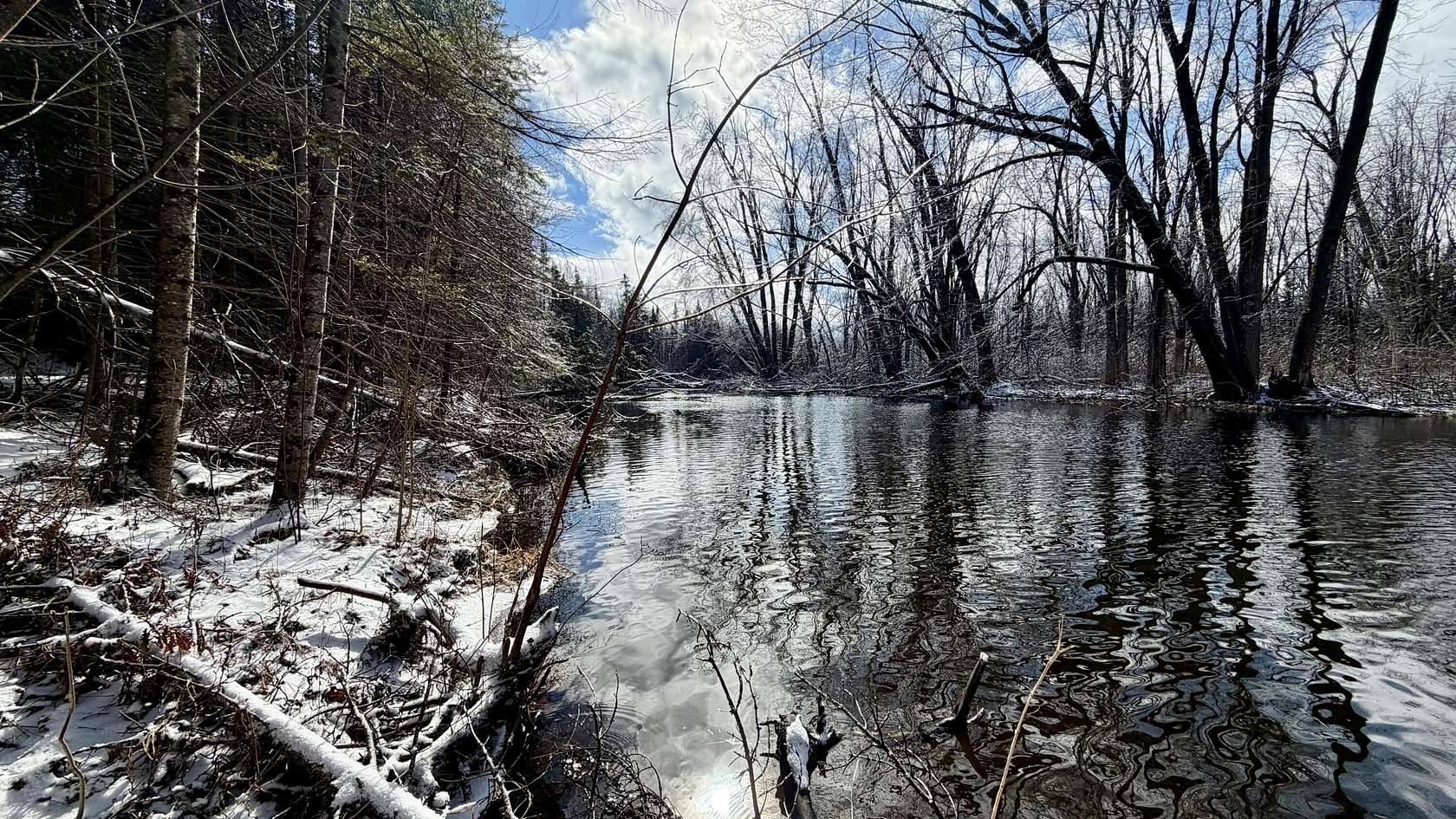 97.9 Acres of Land for Sale in Lachine, Michigan