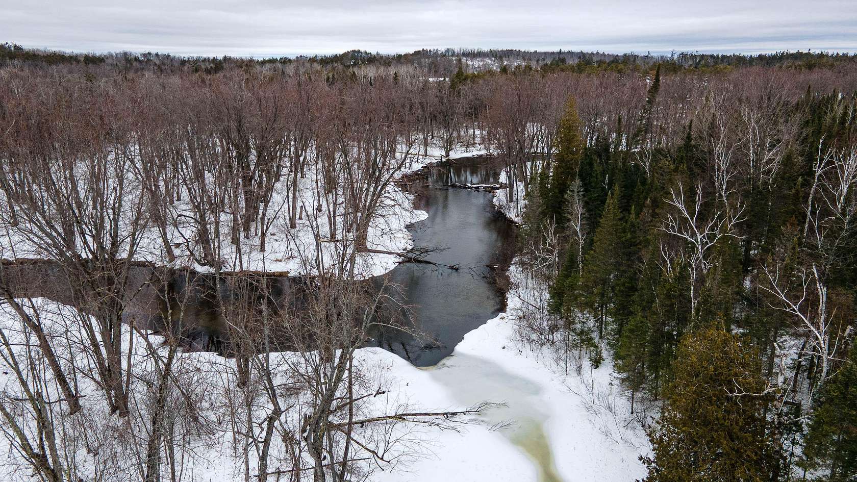 97.9 Acres of Land for Sale in Lachine, Michigan