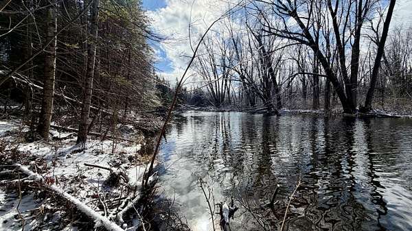 97.9 Acres of Land for Sale in Lachine, Michigan
