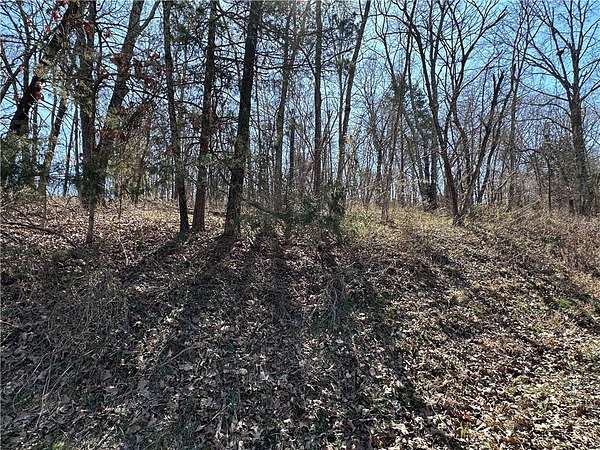 0.24 Acres of Residential Land for Sale in Bella Vista, Arkansas