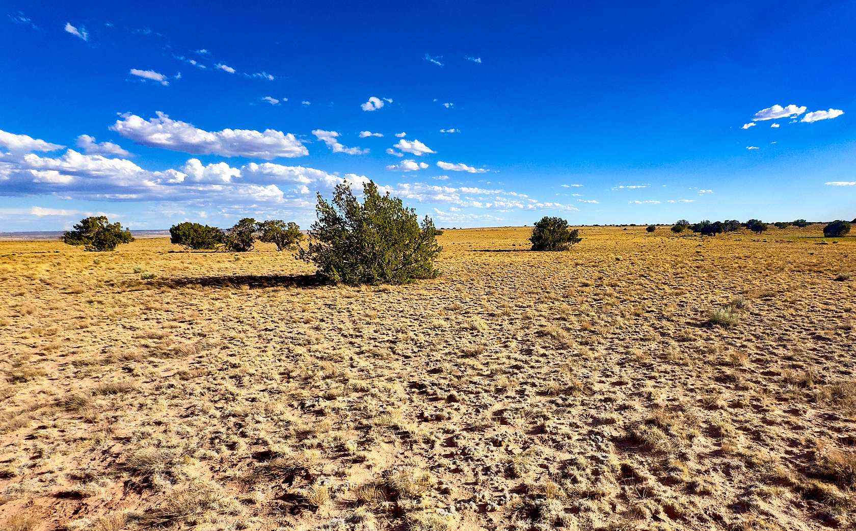 40 Acres of Recreational & Residential Land for Sale in Chambers, Arizona