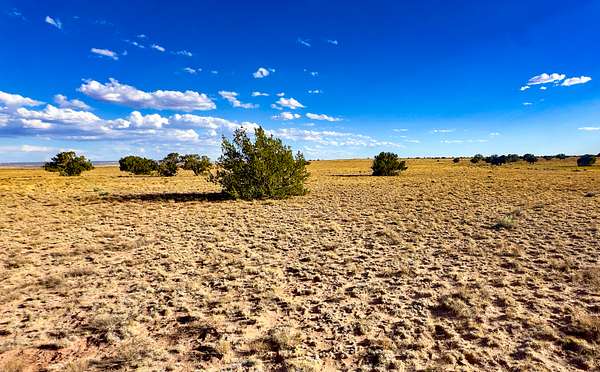 40 Acres of Recreational & Residential Land for Sale in Chambers, Arizona