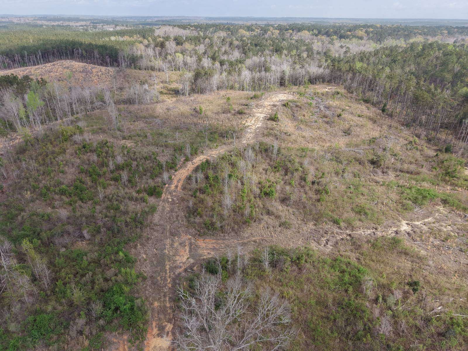 20 Acres of Land for Sale in Columbia, Louisiana
