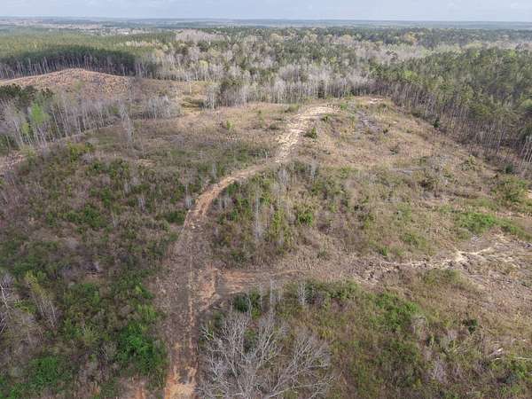 20 Acres of Land for Sale in Columbia, Louisiana