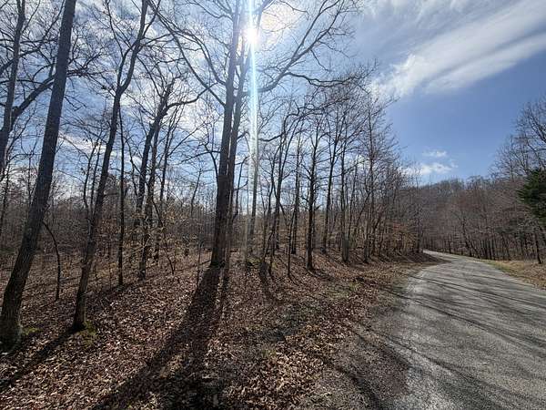 0.8 Acres of Residential Land for Sale in Holladay, Tennessee