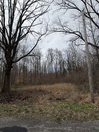 35.2 Acres of Land for Sale in Holladay, Tennessee