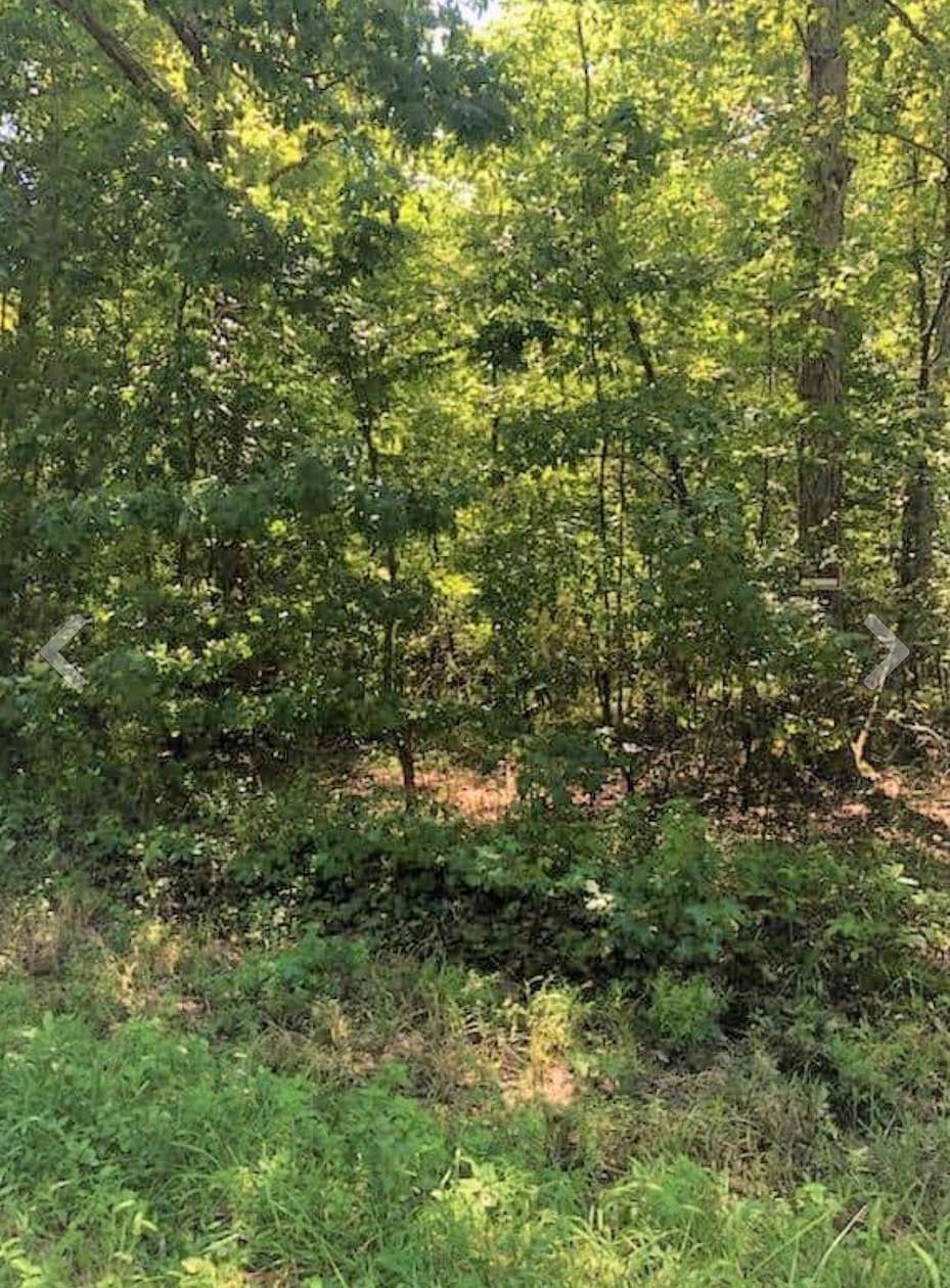 3 Acres of Residential Land for Sale in Manchester, Tennessee