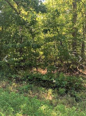 3 Acres of Residential Land for Sale in Manchester, Tennessee