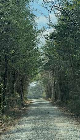 Residential Land for Sale in South Boston, Virginia