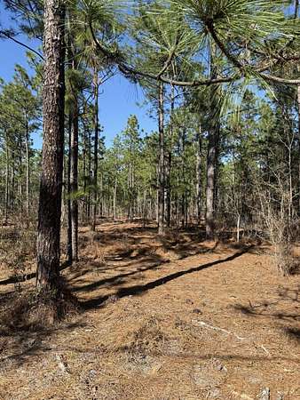 31.7 Acres of Recreational & Residential Land for Sale in Batesburg-Leesville, South Carolina