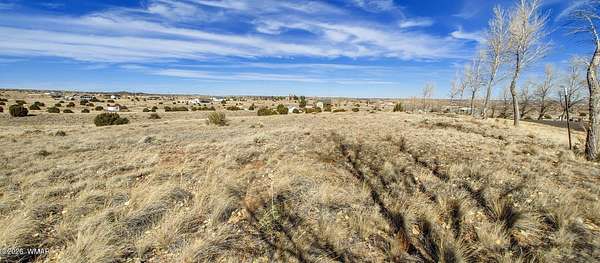 3 Acres of Residential Land for Sale in Taylor, Arizona