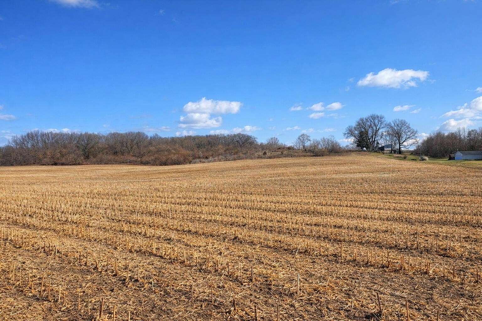10 Acres of Residential Land for Sale in Coloma, Michigan