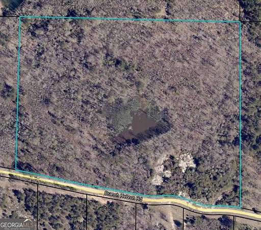 26.8 Acres of Recreational Land for Sale in Greenville, Georgia
