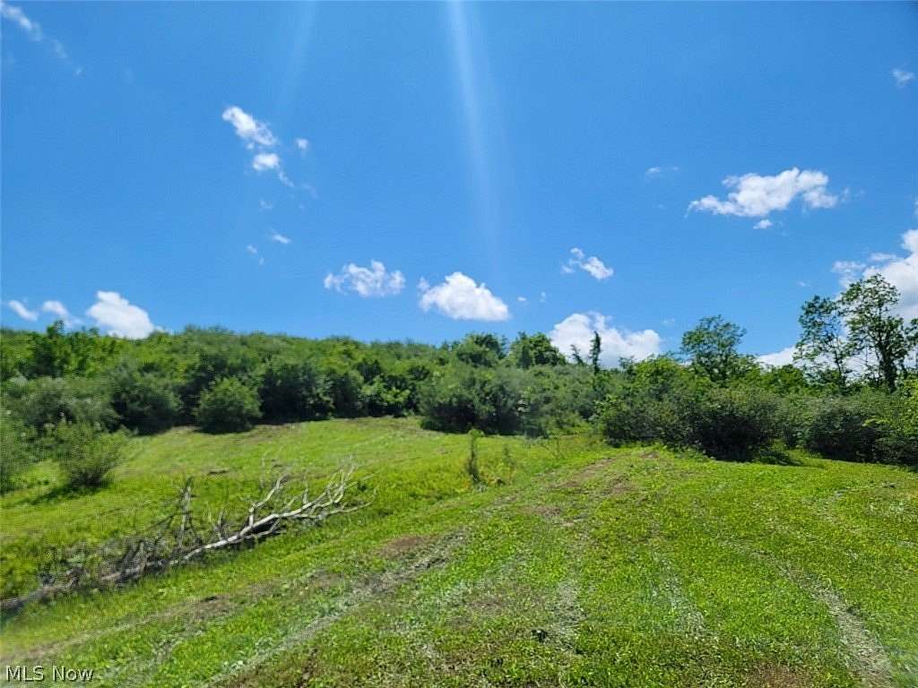 10.5 Acres of Recreational Land for Sale in Bethesda, Ohio