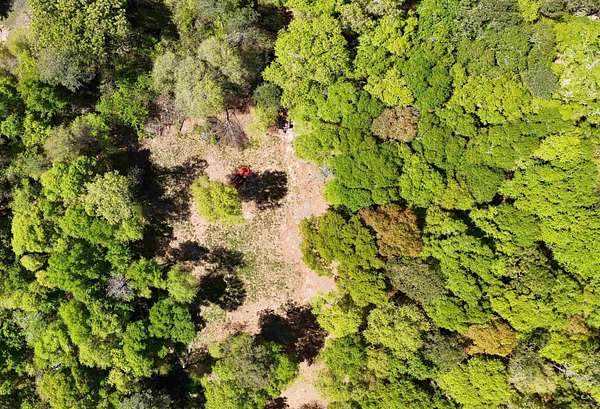 4 Acres of Residential Land for Sale in Fort Valley, Georgia