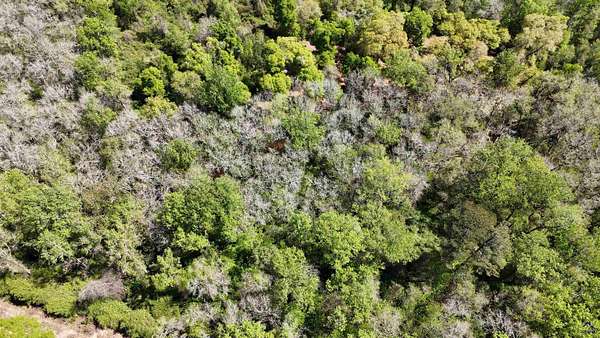 4 Acres of Residential Land for Sale in Fort Valley, Georgia