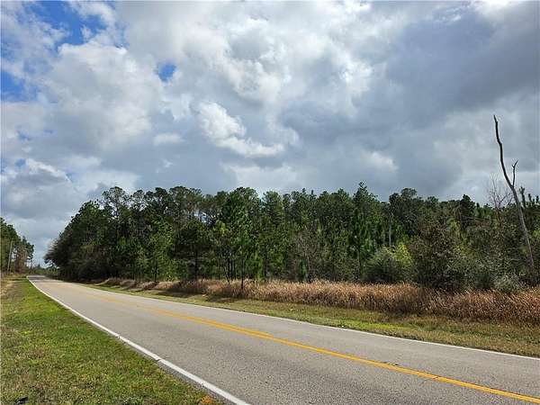 30.8 Acres of Land for Sale in Chunchula, Alabama