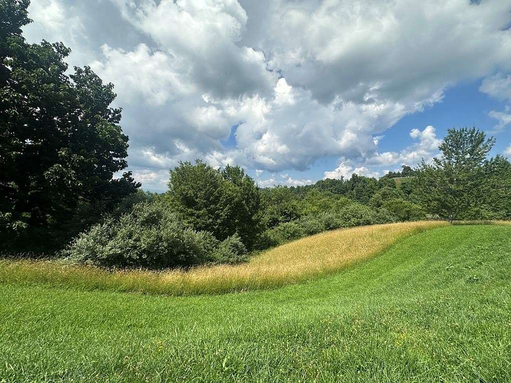 5.42 Acres of Residential Land for Sale in Mouth of Wilson, Virginia