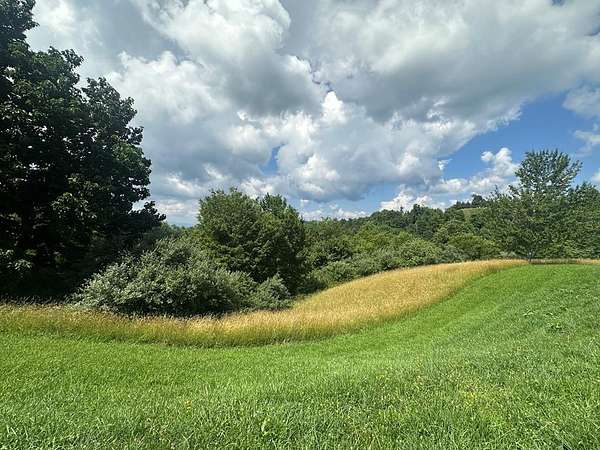 5.42 Acres of Residential Land for Sale in Mouth of Wilson, Virginia