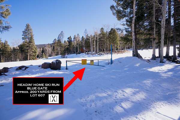 0.8 Acres of Residential Land for Sale in Angel Fire, New Mexico