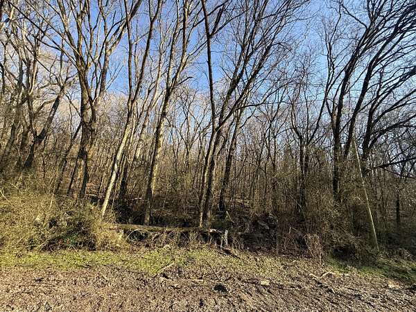 22 Acres of Recreational & Residential Land for Sale in Bryant, Alabama
