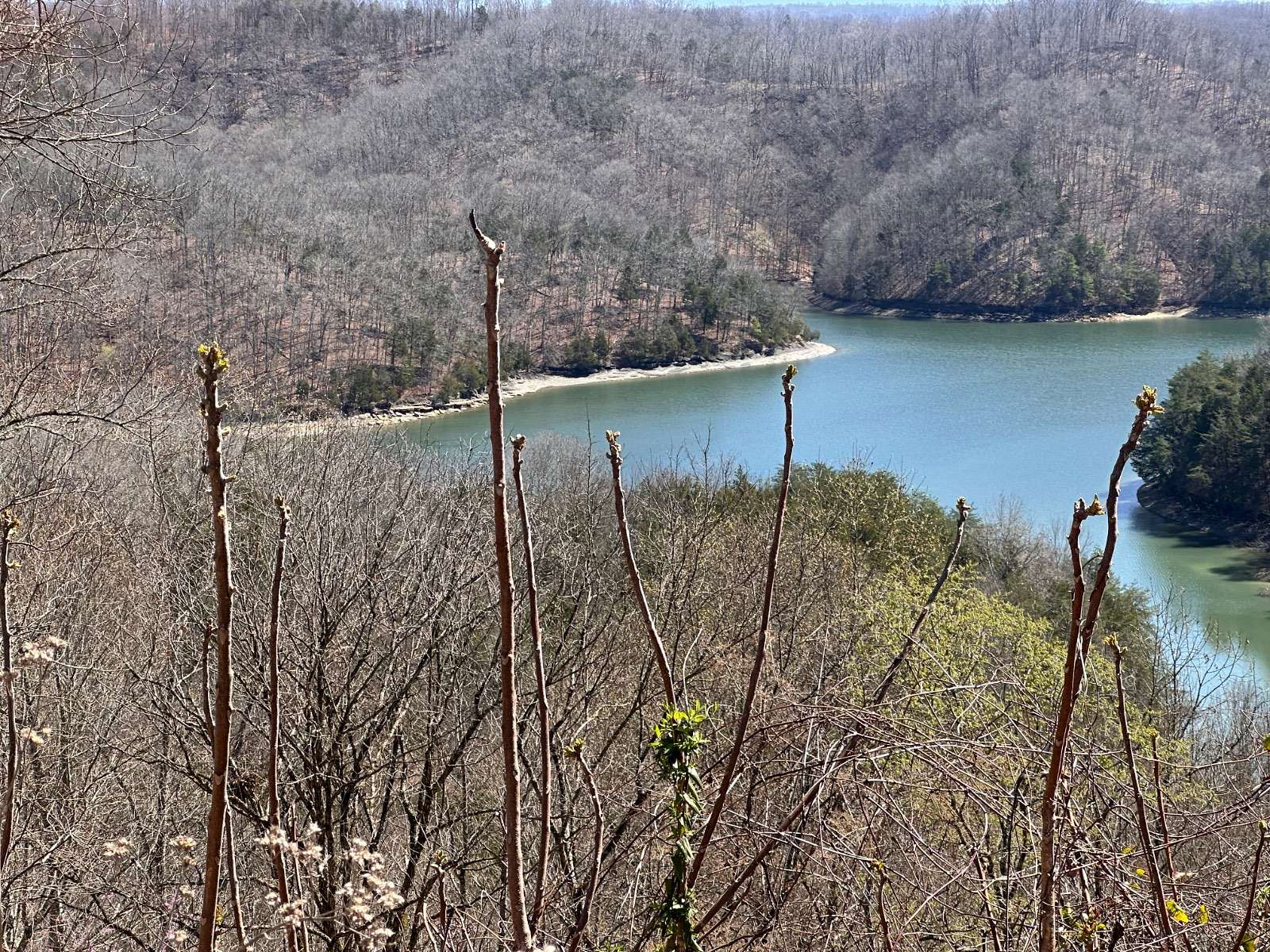 6 Acres of Residential Land for Sale in Burkesville, Kentucky