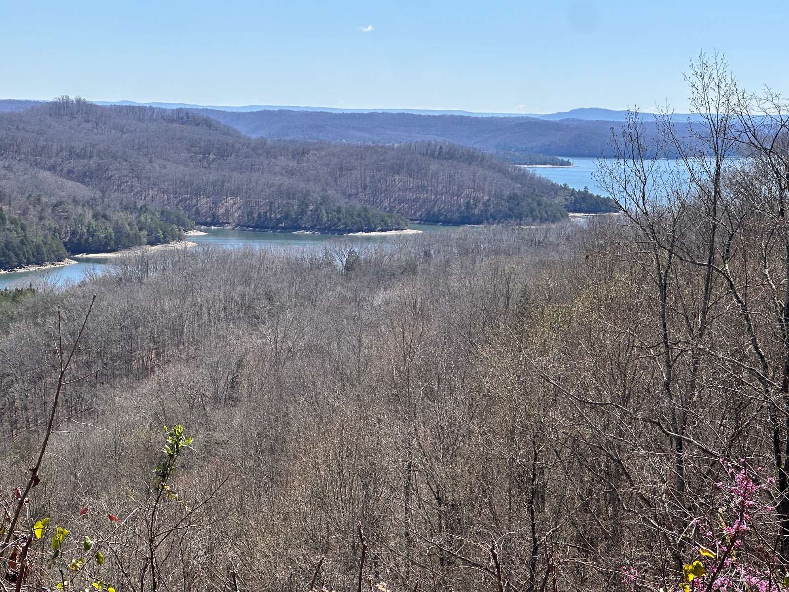 10 Acres of Land for Sale in Burkesville, Kentucky