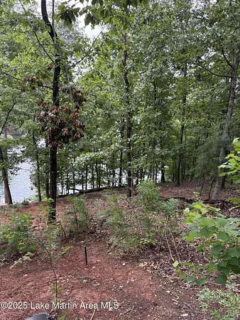 0.89 Acres of Residential Land for Sale in Alexander City, Alabama