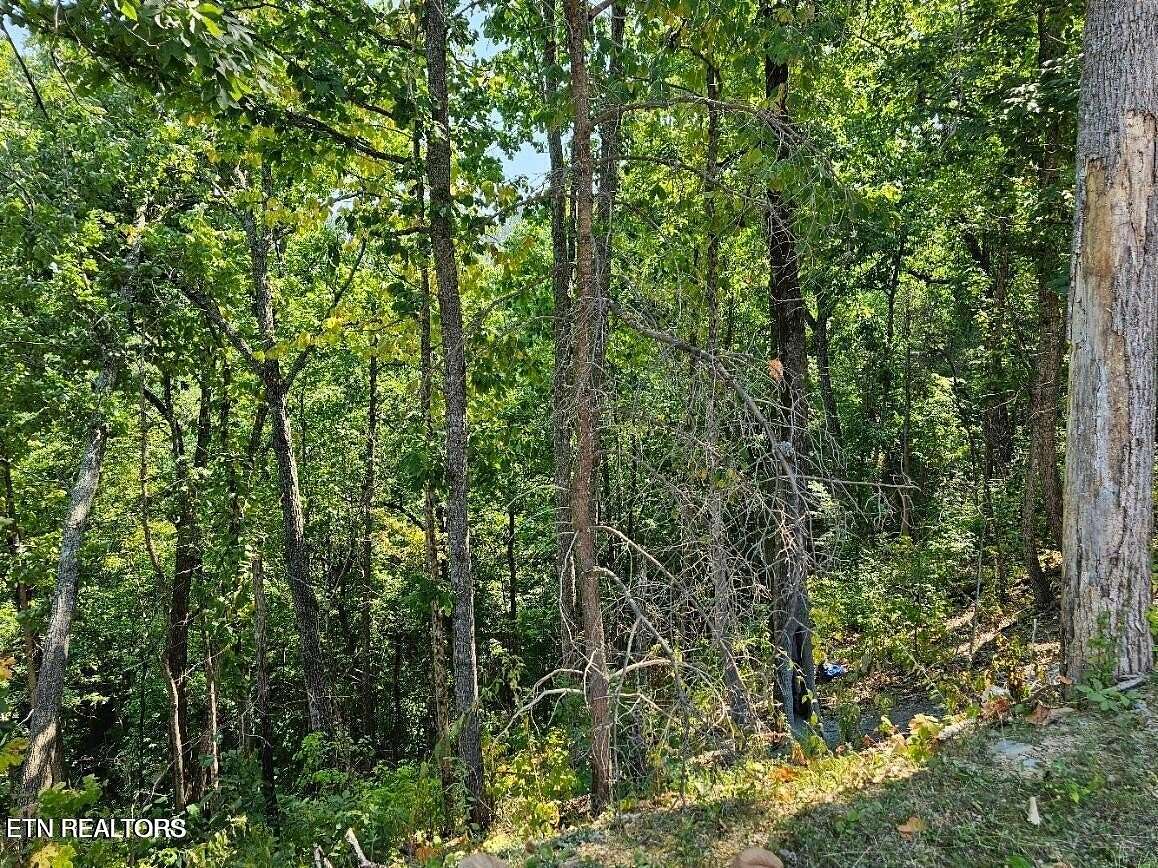 0.24 Acres of Residential Land for Sale in Sevierville, Tennessee
