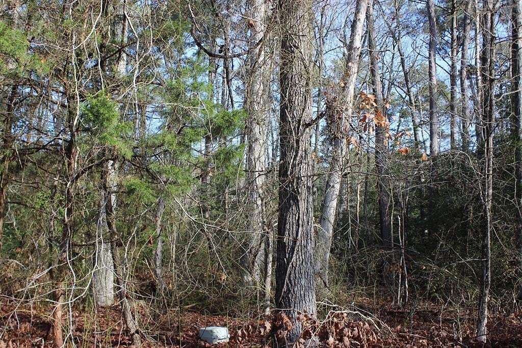 0.23 Acres of Residential Land for Sale in Greenbackville, Virginia