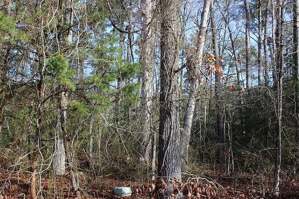 0.23 Acres of Residential Land for Sale in Greenbackville, Virginia