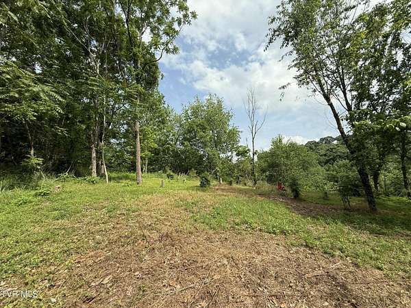 1.6 Acres of Residential Land for Sale in Chuckey, Tennessee