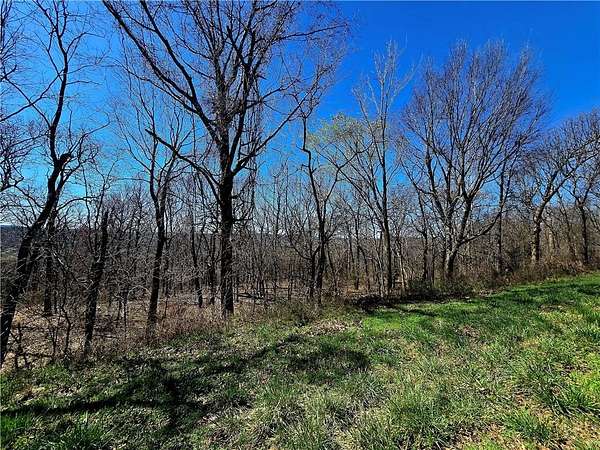 1 Acre of Residential Land for Sale in Canehill, Arkansas
