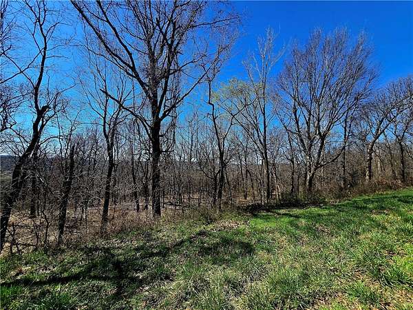 1 Acre of Residential Land for Sale in Canehill, Arkansas