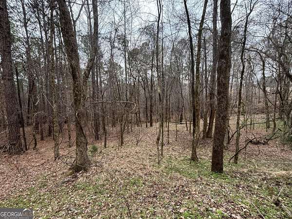 14.8 Acres of Land for Sale in Buckhead, Georgia