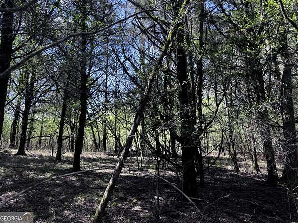 6 Acres of Commercial Land for Sale in Fortson, Georgia