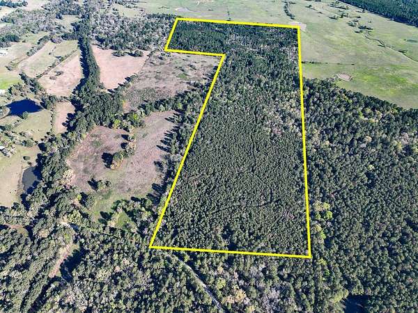 112 Acres of Land for Sale in Huntsville, Texas