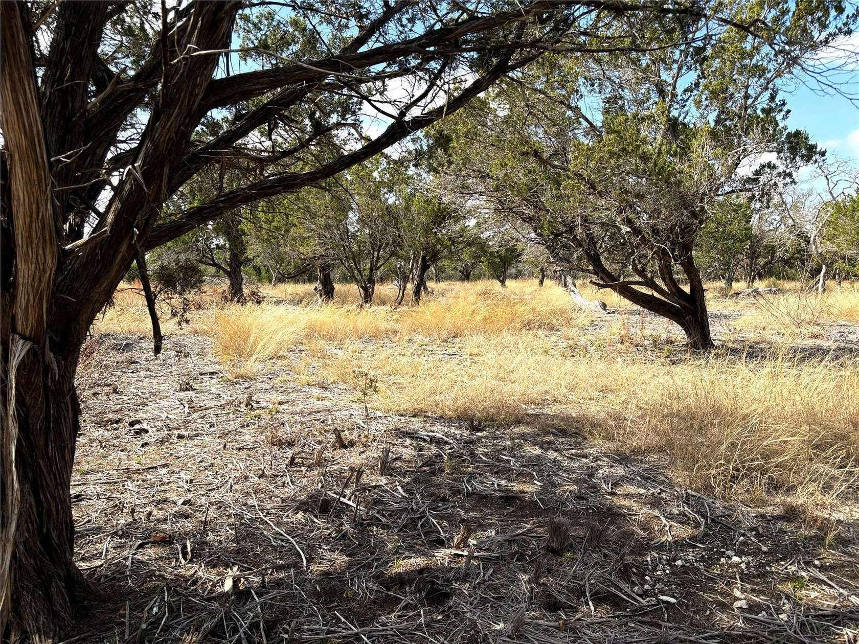 6.15 Acres of Residential Land for Sale in Burnet, Texas