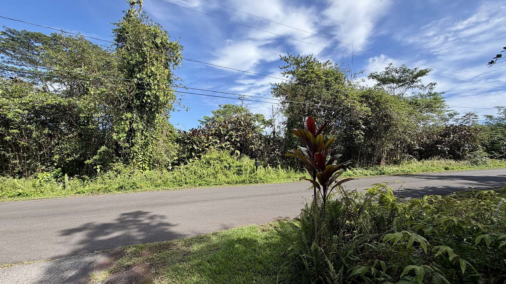 1 Acre of Land for Sale in Pahoa, Hawaii