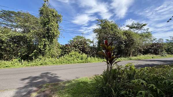 1 Acre of Land for Sale in Pahoa, Hawaii
