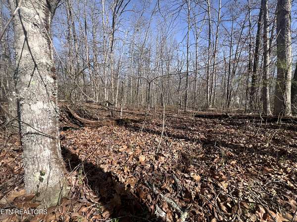 0.48 Acres of Residential Land for Sale in Crossville, Tennessee