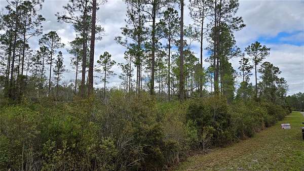 3.78 Acres of Residential Land for Sale in Lake City, Florida