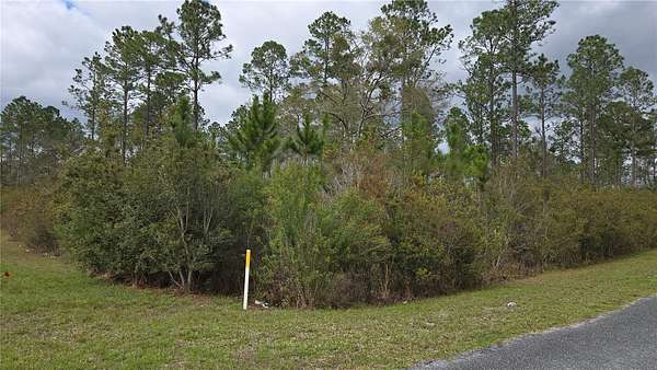 2.16 Acres of Residential Land for Sale in Lake City, Florida