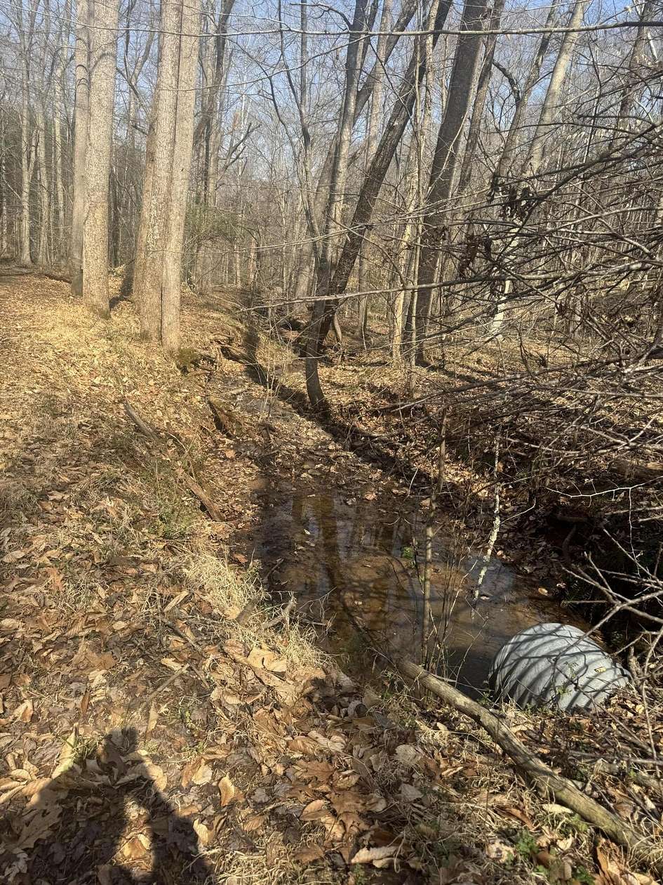 25 Acres of Agricultural & Residential Land for Sale in Hardy, Virginia