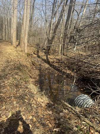 25 Acres of Land for Sale in Hardy, Virginia