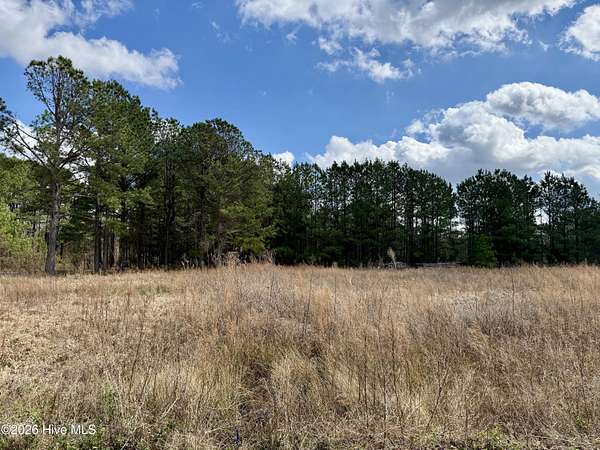 0.75 Acres of Residential Land for Sale in Goldsboro, North Carolina