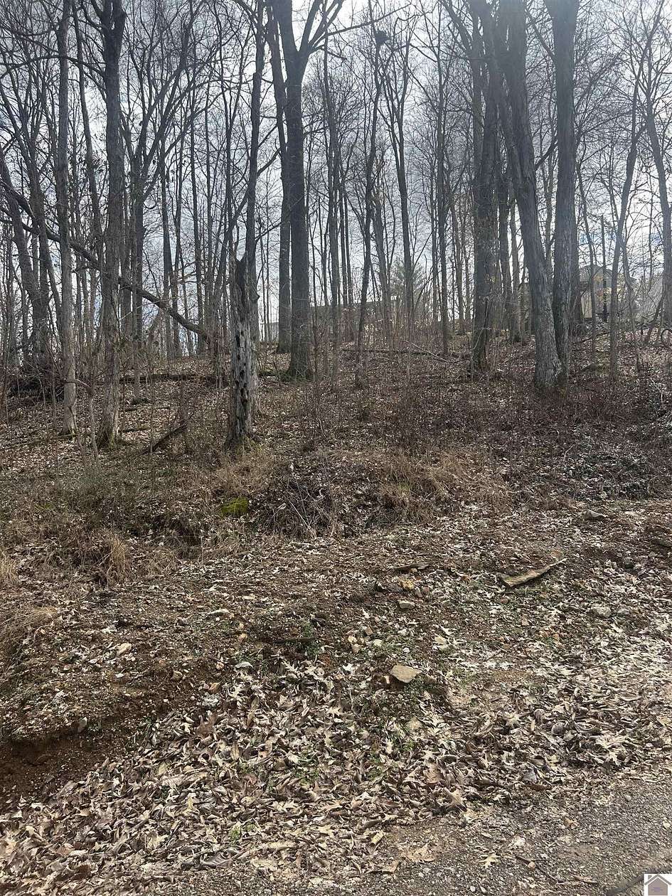 0.31 Acres of Land for Sale in Cadiz, Kentucky