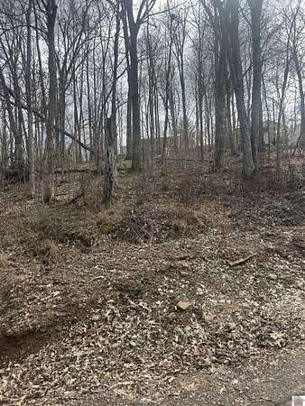 0.31 Acres of Residential Land for Sale in Cadiz, Kentucky