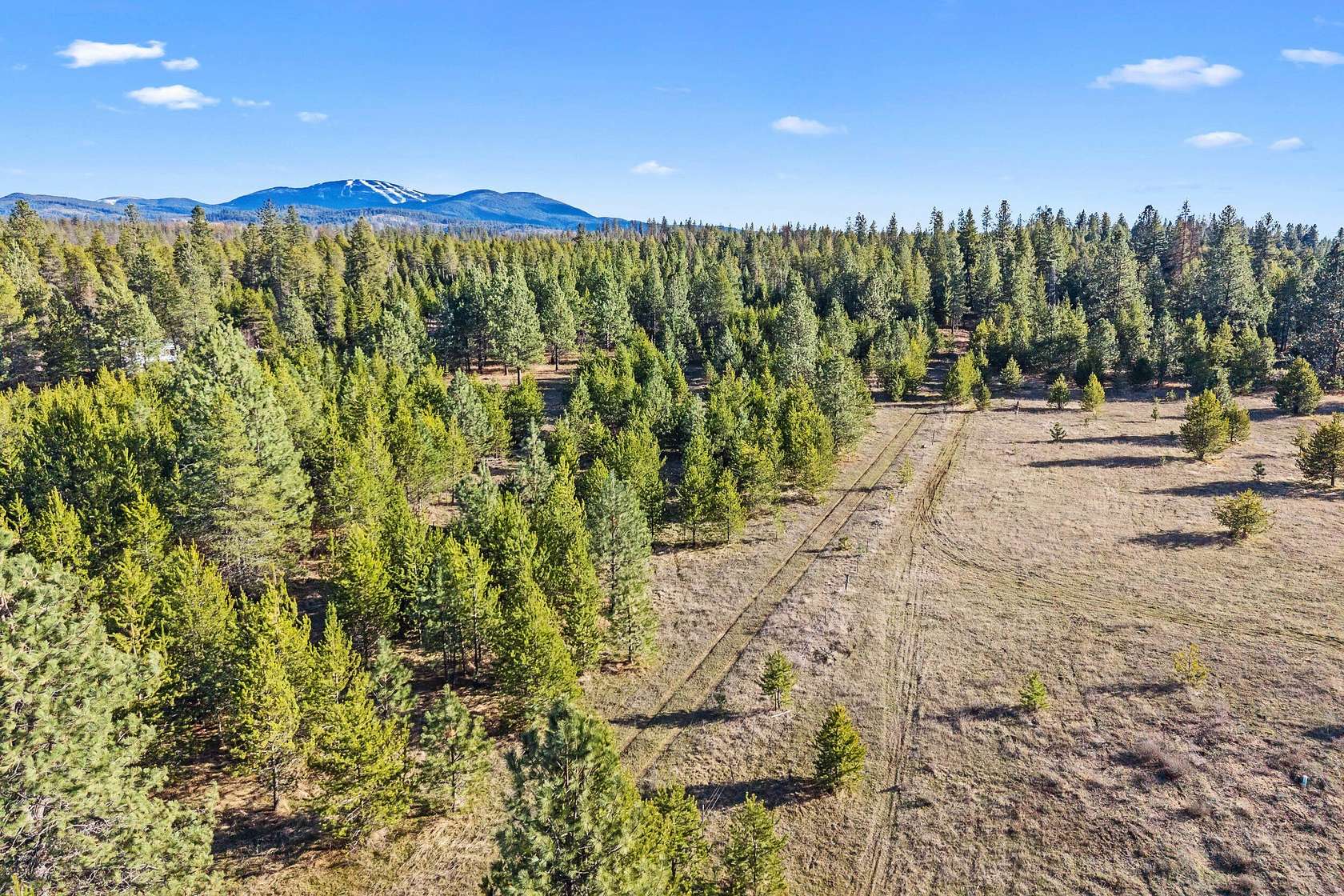 12 Acres of Land for Sale in Elk, Washington