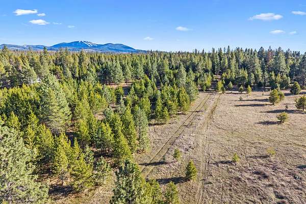12 Acres of Land for Sale in Elk, Washington